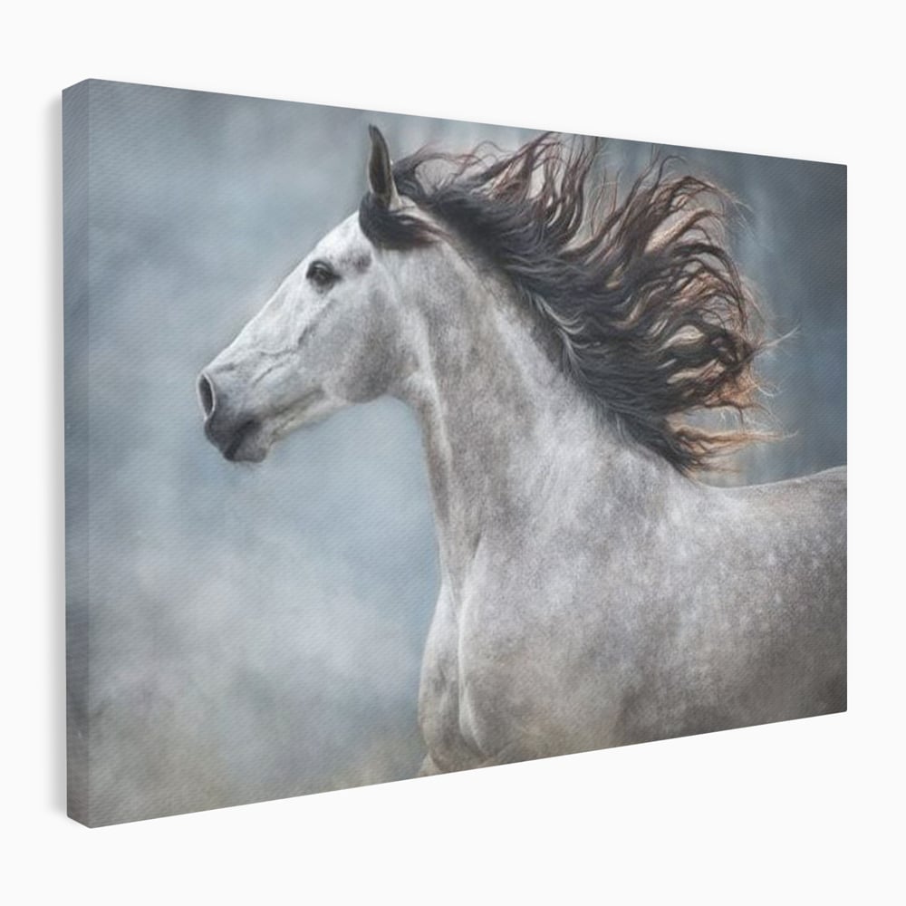 Tablou canvas cu tablou canvas cu armasar in miscare, fara rama, pe sasiu de lemn